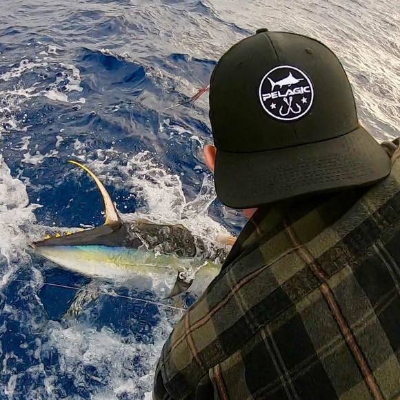 Meet your Posher, Darrin - Picture 1 of 1